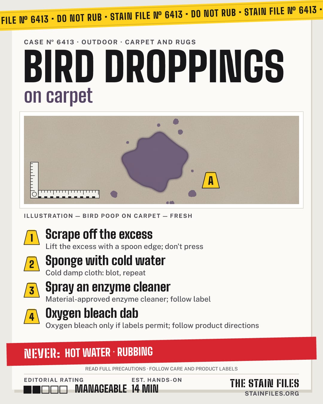 Stain file 6413: how to remove bird poop from carpet, step by step, with what never to use