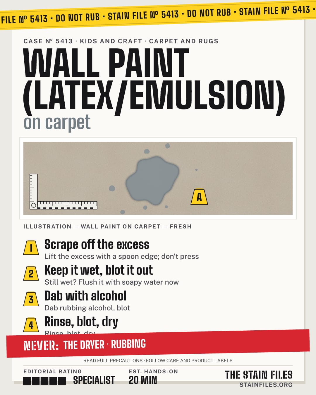 Stain file 5413: how to remove wall paint from carpet, step by step, with what never to use