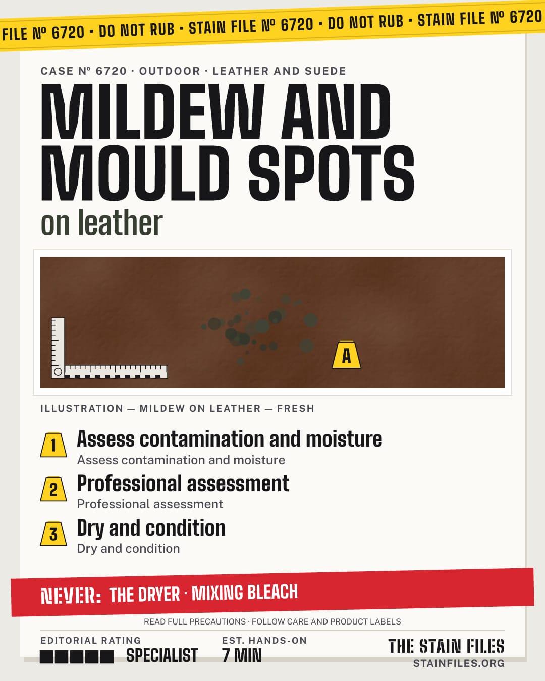 Stain file 6720: how to remove mildew from leather, step by step, with what never to use