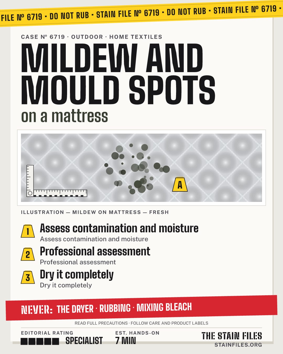 Stain file 6719: how to remove mildew from a mattress, step by step, with what never to use