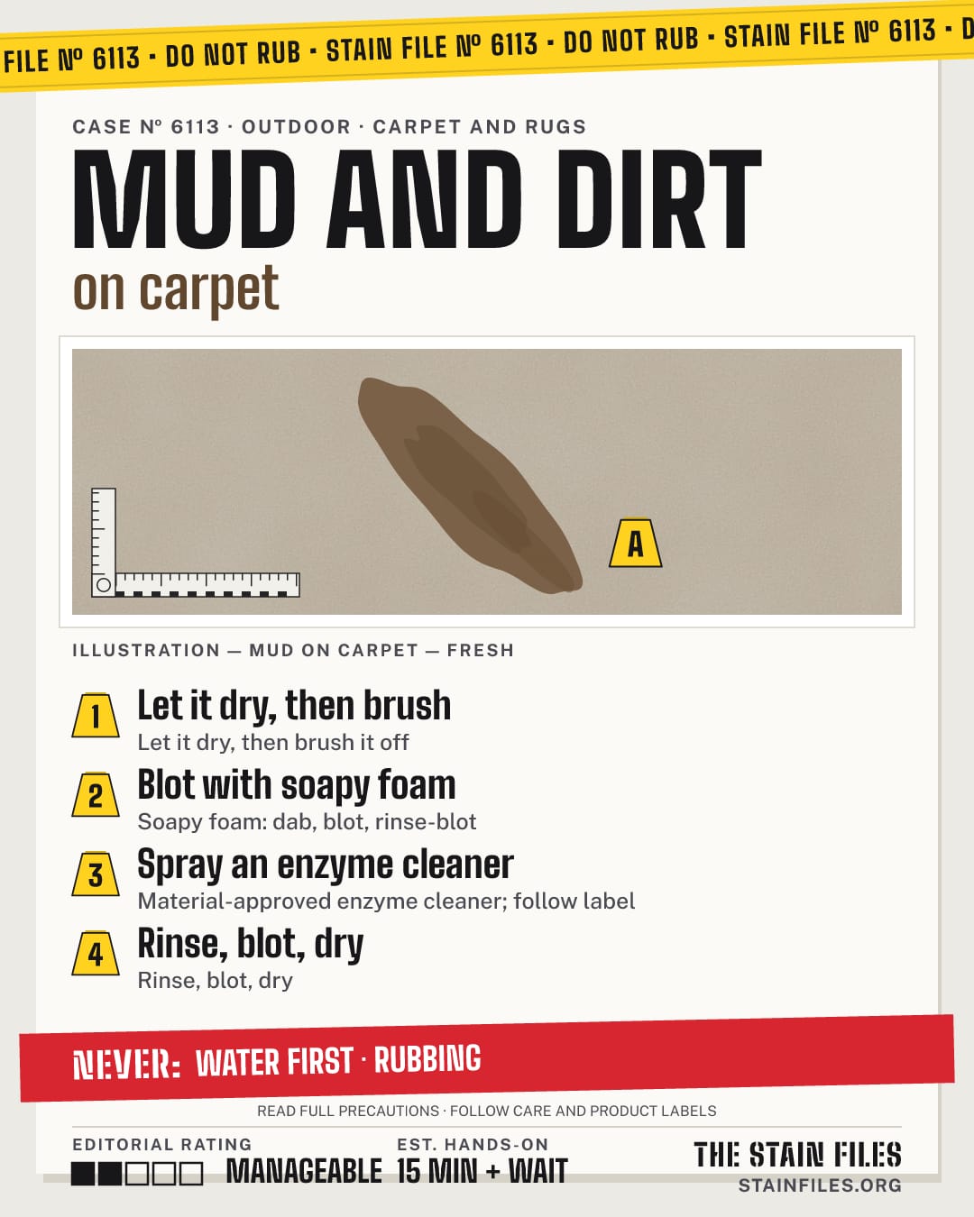 Stain file 6113: how to remove mud from carpet, step by step, with what never to use