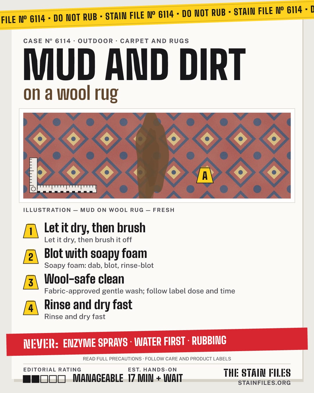 Stain file 6114: how to remove mud from a wool rug, step by step, with what never to use
