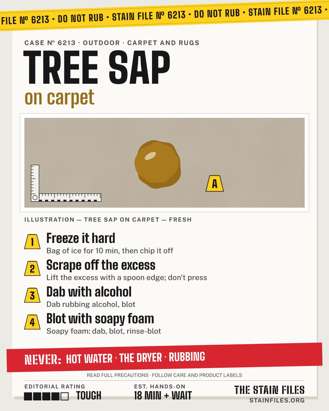 Stain file 6213: how to remove tree sap from carpet, step by step, with what never to use