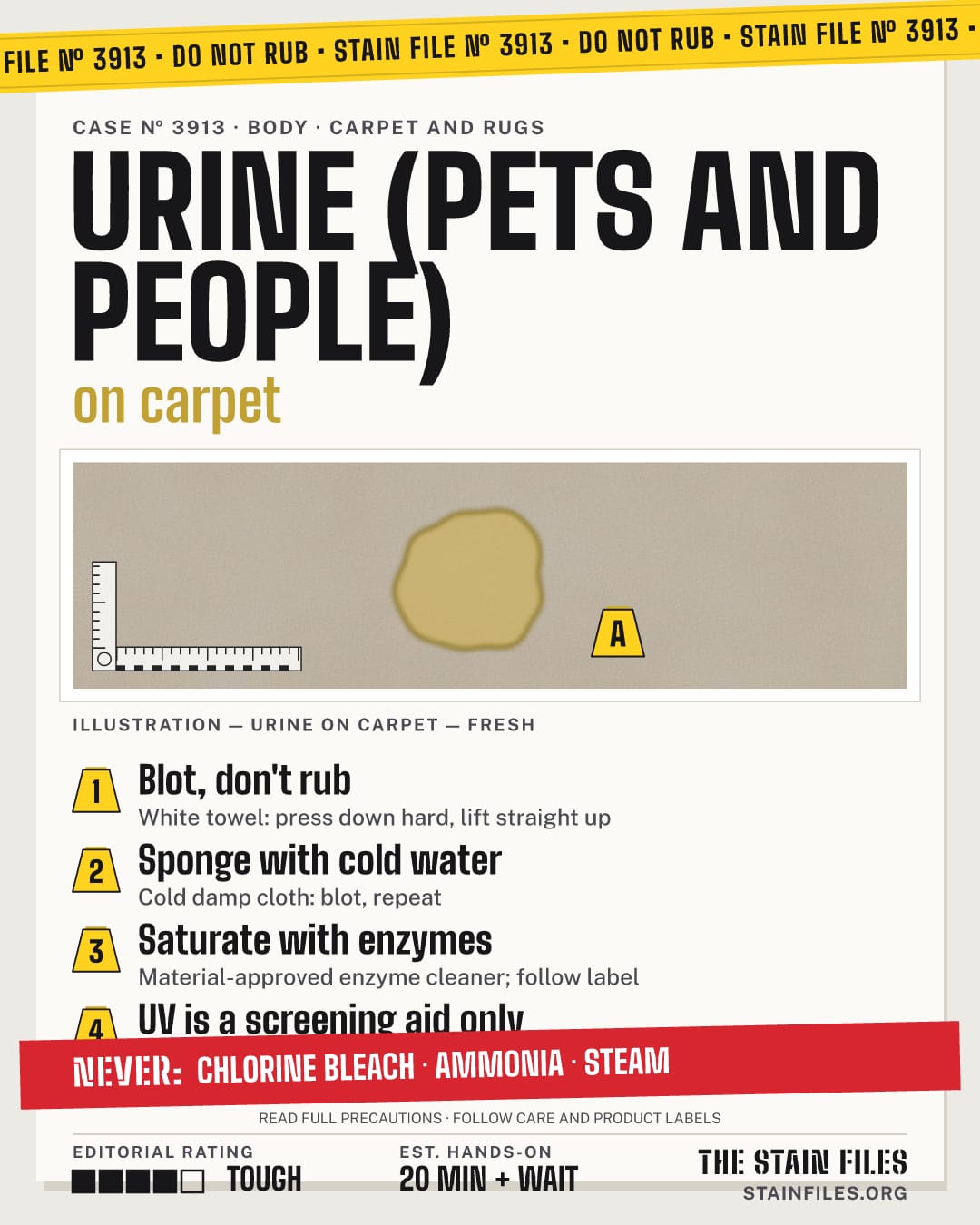Stain file 3913: how to remove urine from carpet, step by step, with what never to use