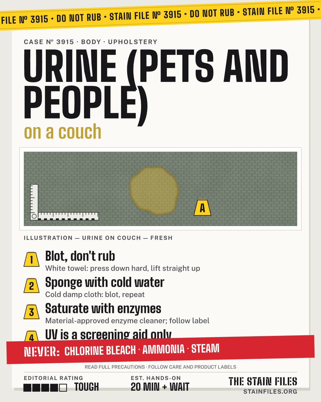 Stain file 3915: how to remove urine from a couch, step by step, with what never to use