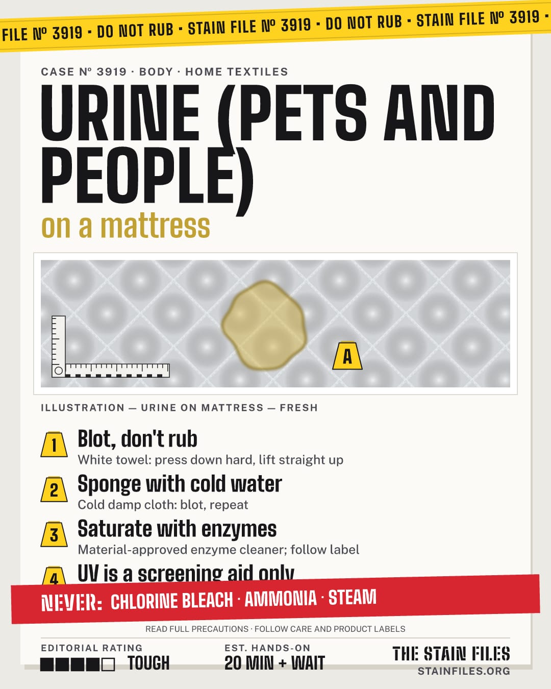Stain file 3919: how to remove urine from a mattress, step by step, with what never to use