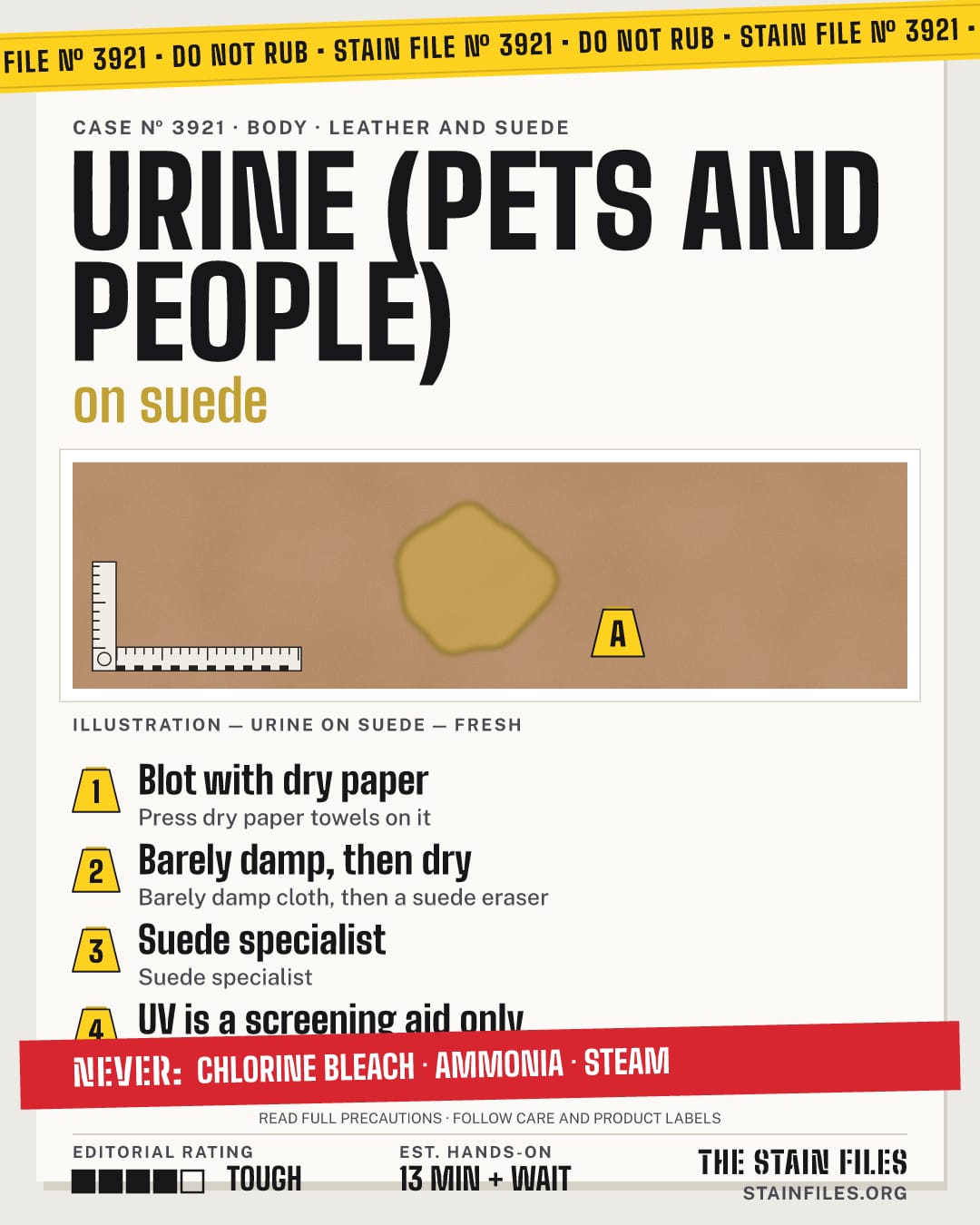 Stain file 3921: how to remove urine from suede, step by step, with what never to use