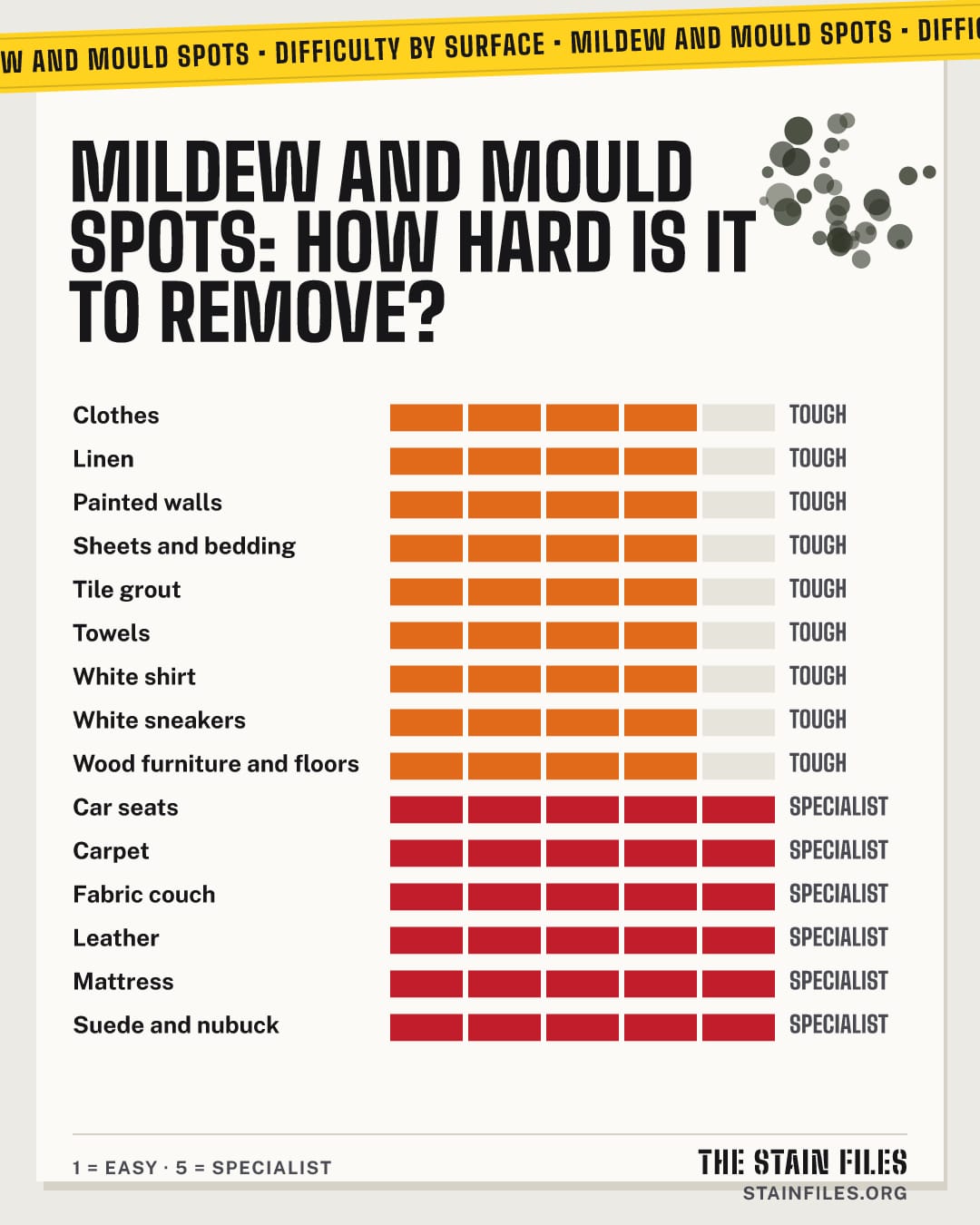 Mildew and mould spots stain: how hard it is to remove from each surface, from easy to specialist